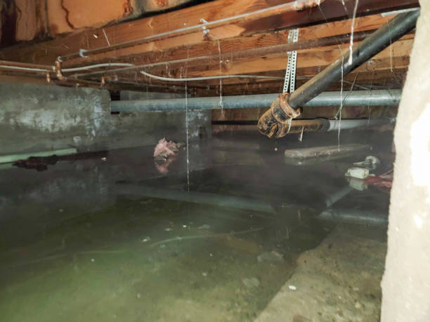 Best Residential water damage restoration  in Eastlake, OH