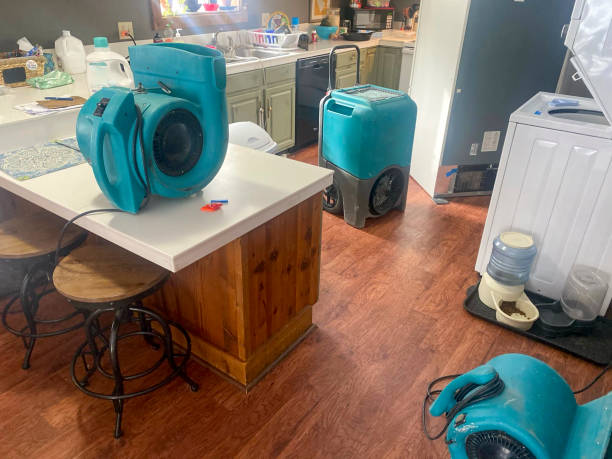 Best Water damage cleanup near me  in Eastlake, OH