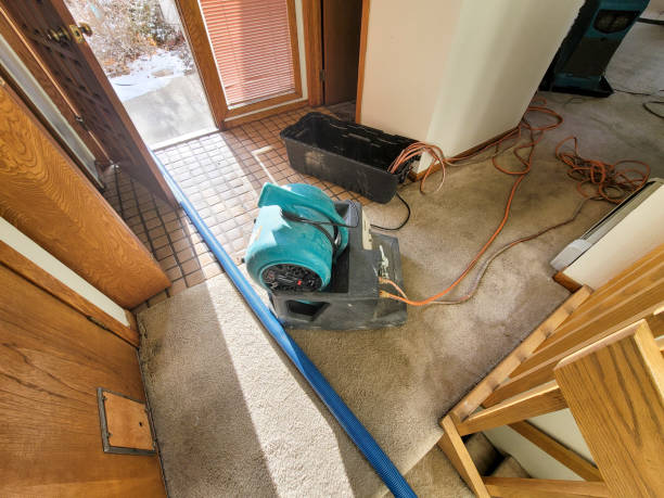 Best Water damage restoration near me  in Eastlake, OH