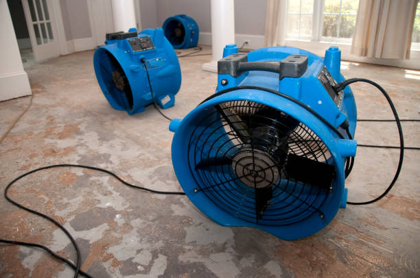  Eastlake, OH Water damage restoration Pros