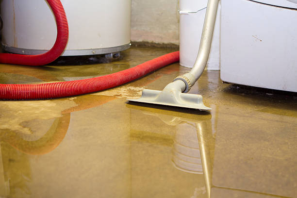 Best Emergency water damage restoration  in Eastlake, OH