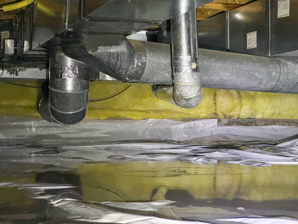 Best Water damage restoration near me  in Eastlake, OH