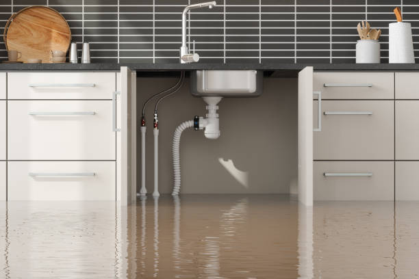 Best Mold removal after water damage  in Eastlake, OH