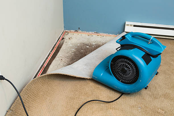 Best Flood restoration services  in Eastlake, OH